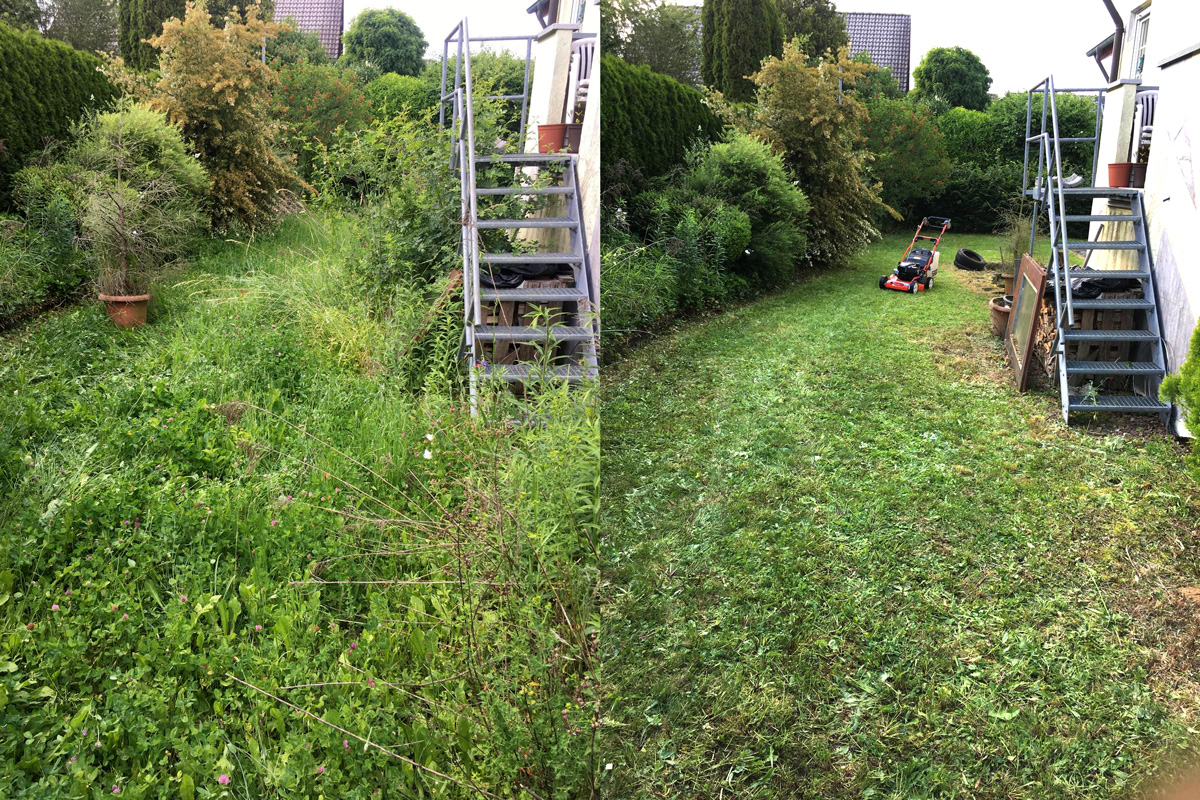 Vorher-Nachher-Vergleich einer stark bewachsenen Gartenfläche nach Mäharbeiten durch Watan Gartenservice