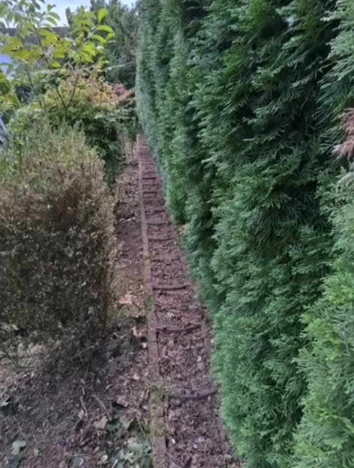 Laubentfernung auf einem Grundstück