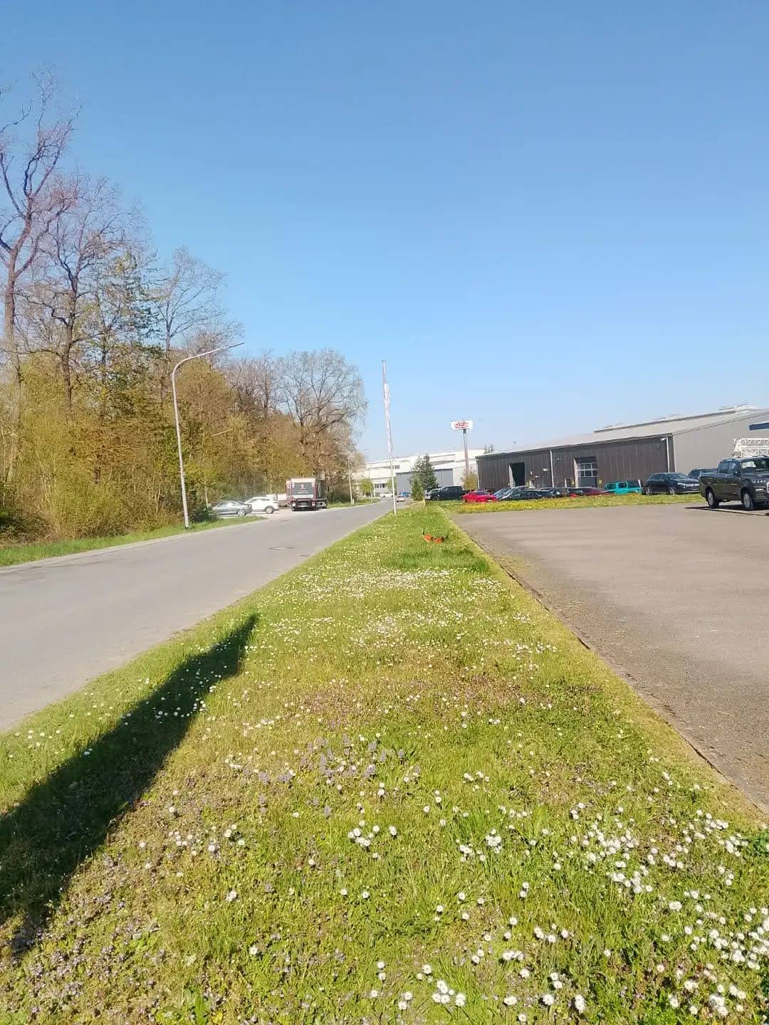 Gewachsener Grünstreifen vor der Gewerbeflächenpflege in Walldürn