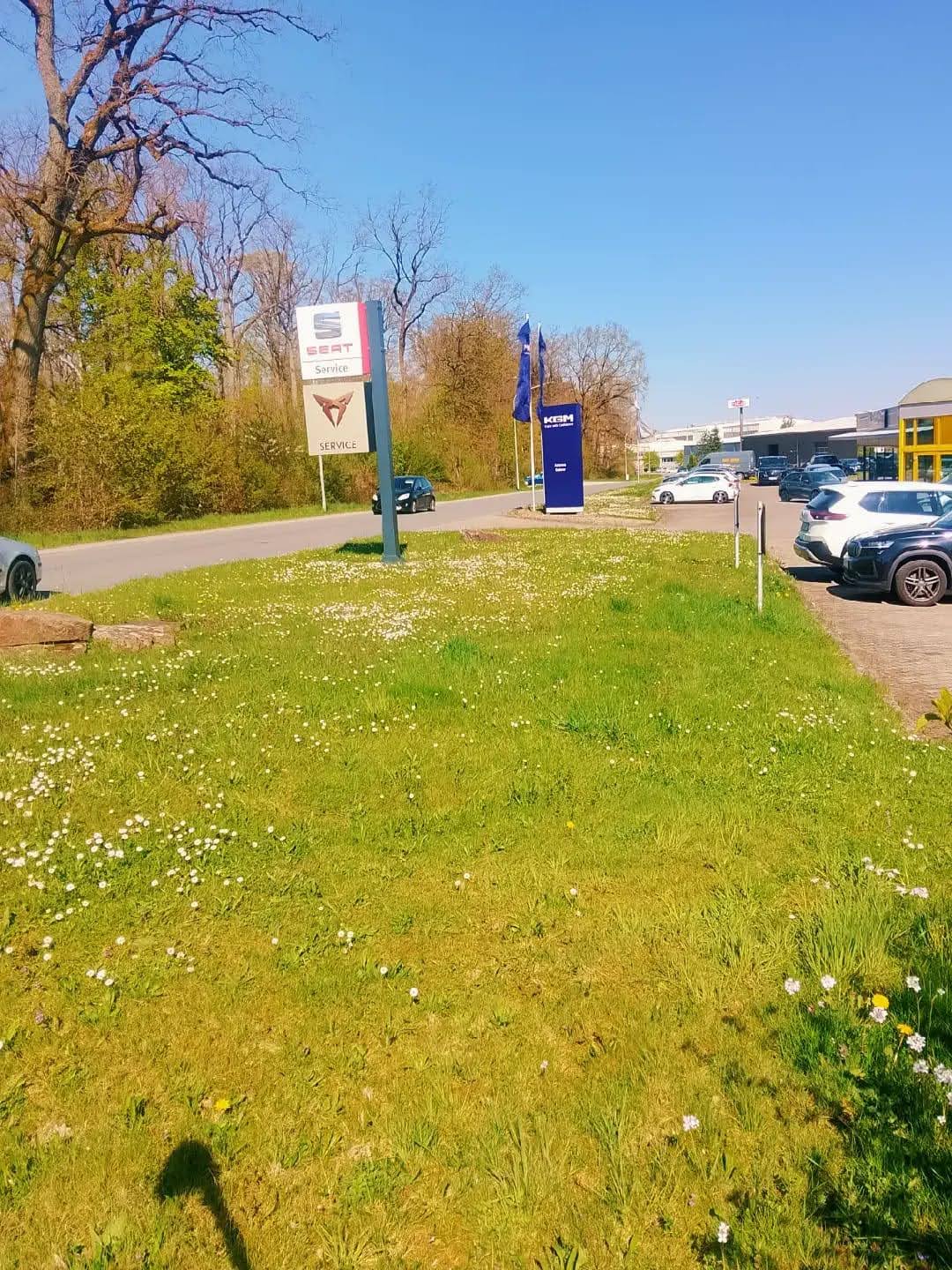 Gewachsene Grünfläche vor den Mäharbeiten in Walldürn
